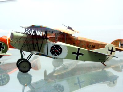 Fokker D VII pic2