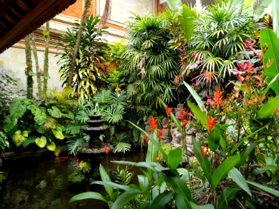 Foliage at the Neka Art Museum