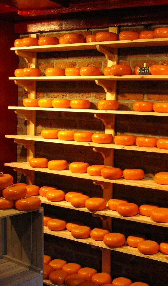 Cheese holland food
