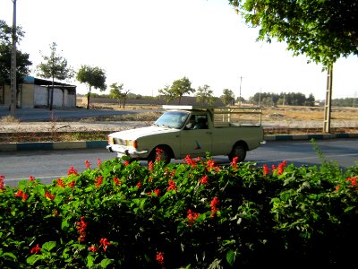Flowers of Barier - Khayyam boulevard - Nishapur 05