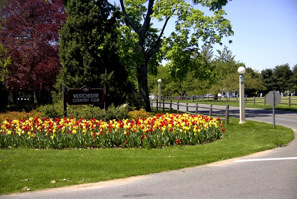 Flower Bed at Westchester Country Club