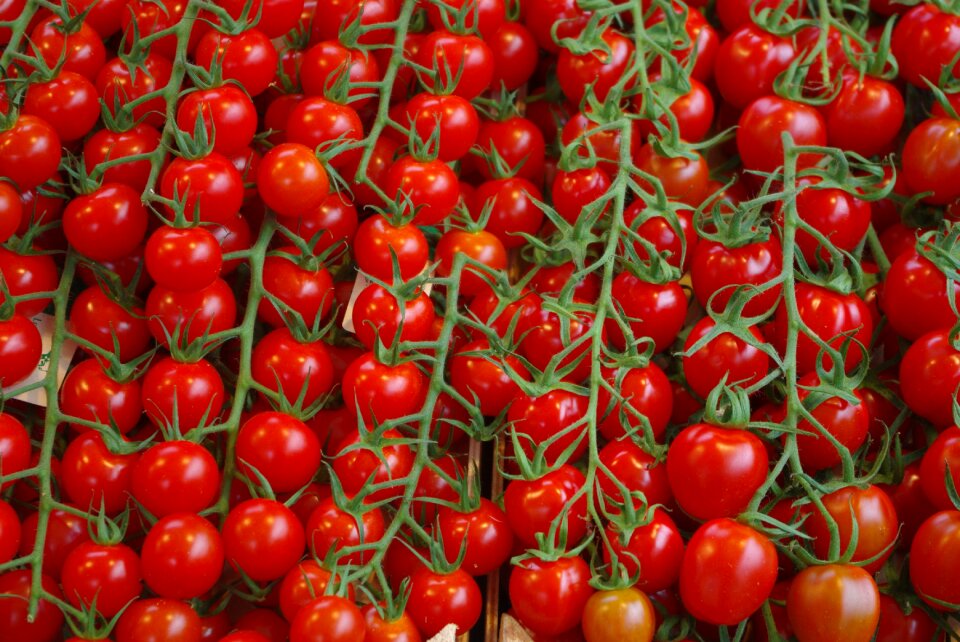 Macro market stall food