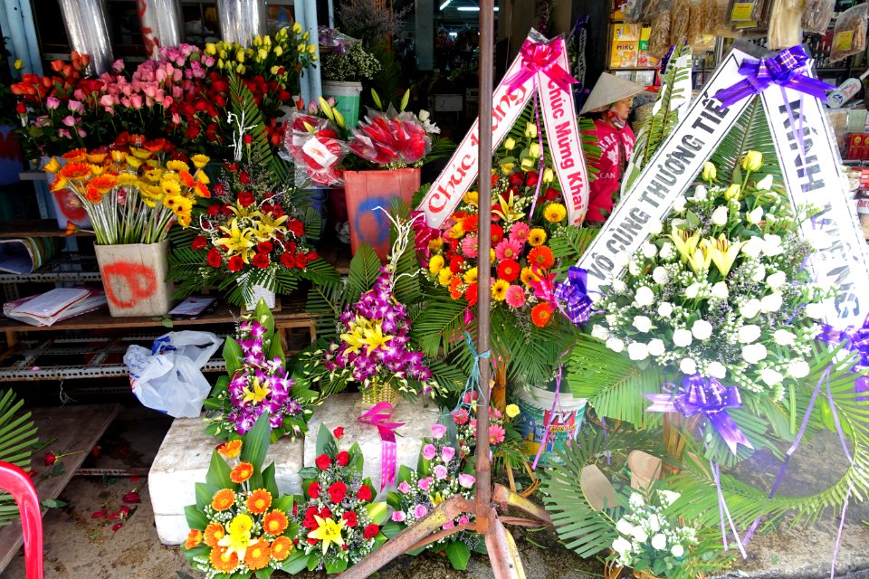 Flowers - Da Nang, Vietnam - DSC02407