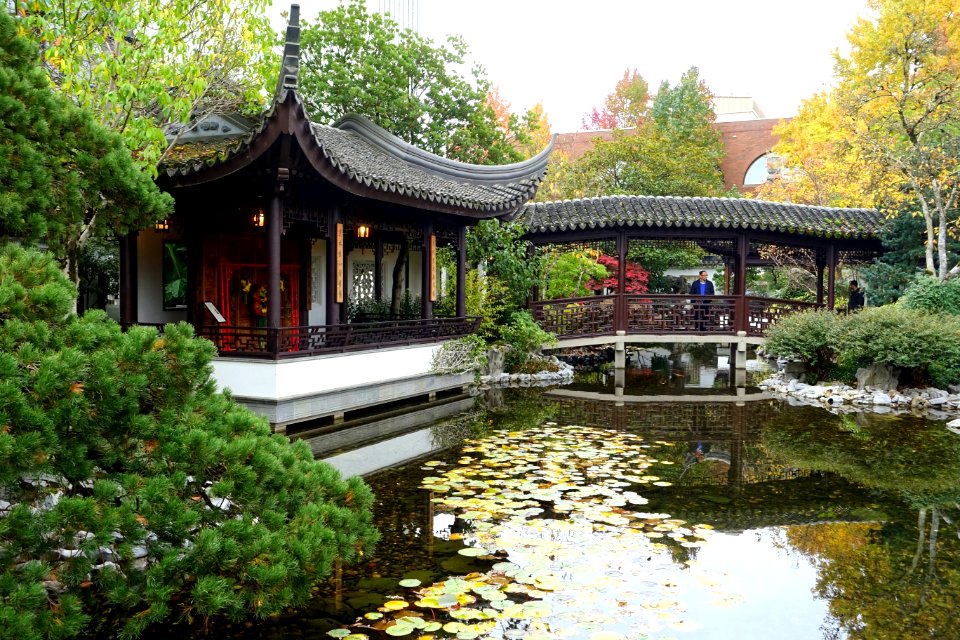 Flowers Bathing in Spring Rain Pavilion and Bridge - Lan Su Chinese Garden - Portland, Oregon - DSC01510