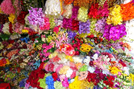 Flowers in Ben Thanh Market - Ho Chi Minh City, Vietnam - DSC01118