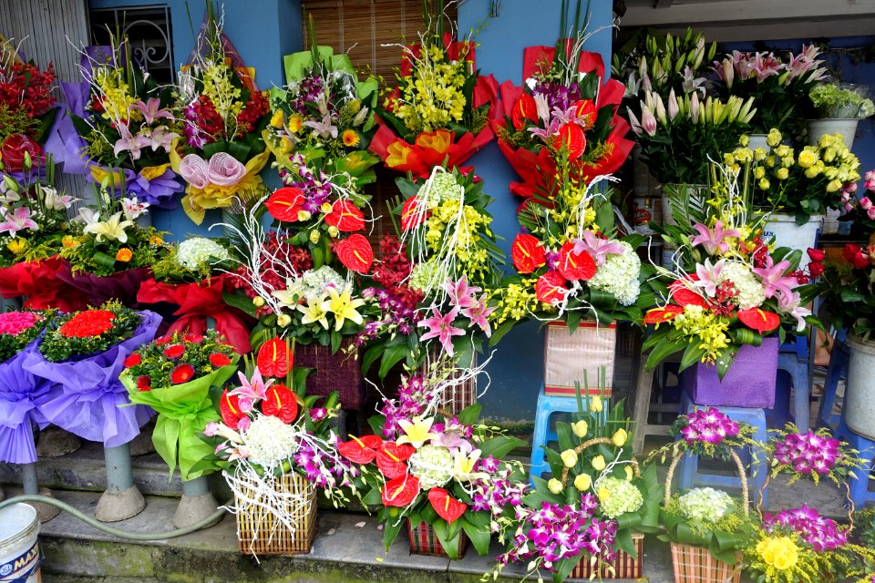 Flower display - Hanoi, Vietnam - DSC03492