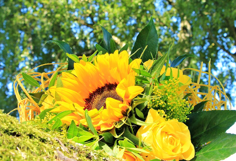 Flowers strauss federal government