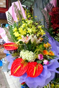 Flower display - Hanoi, Vietnam - DSC03494