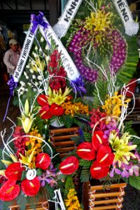 Flowers - Da Nang, Vietnam - DSC02413