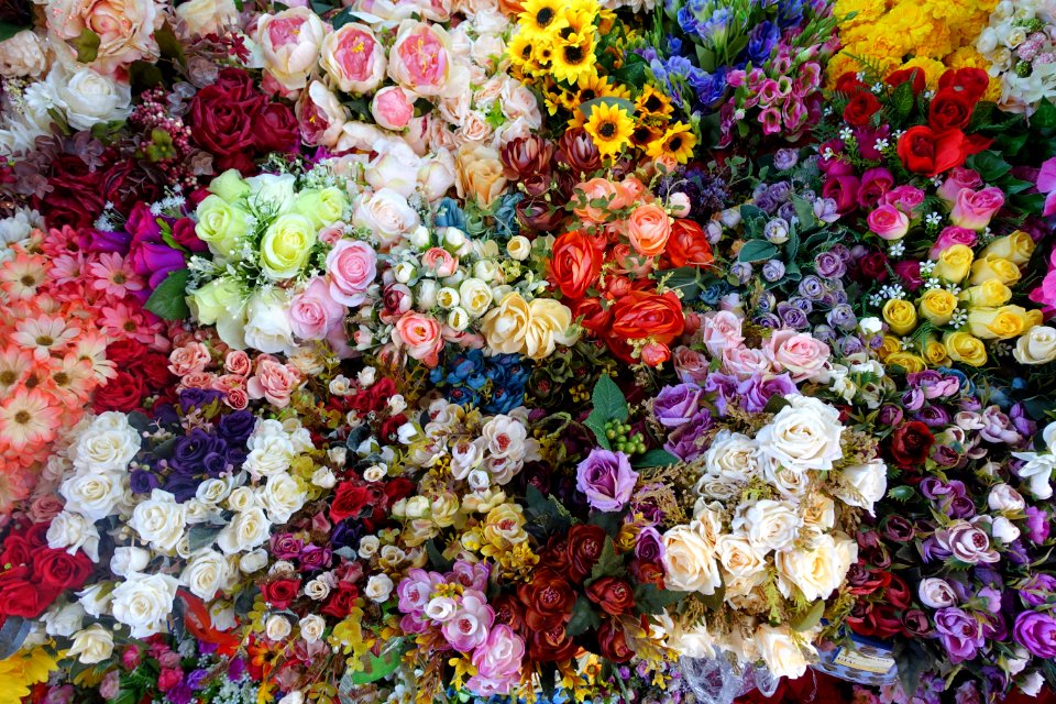 Flowers in Ben Thanh Market - Ho Chi Minh City, Vietnam - DSC01124