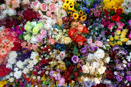 Flowers in Ben Thanh Market - Ho Chi Minh City, Vietnam - DSC01124