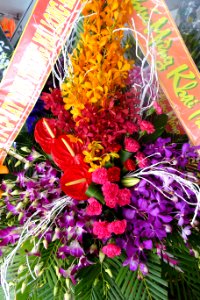 Flowers - Da Nang, Vietnam - DSC02412