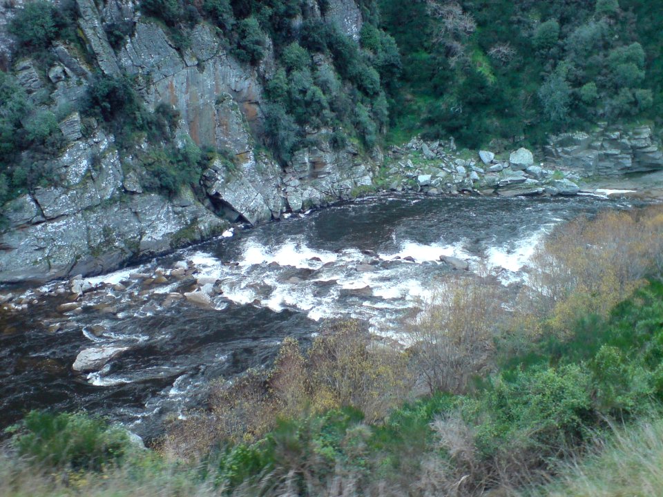 Foaming Water Down In The Taieri Gorge