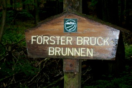 Foerster Brueck Brunnen 01
