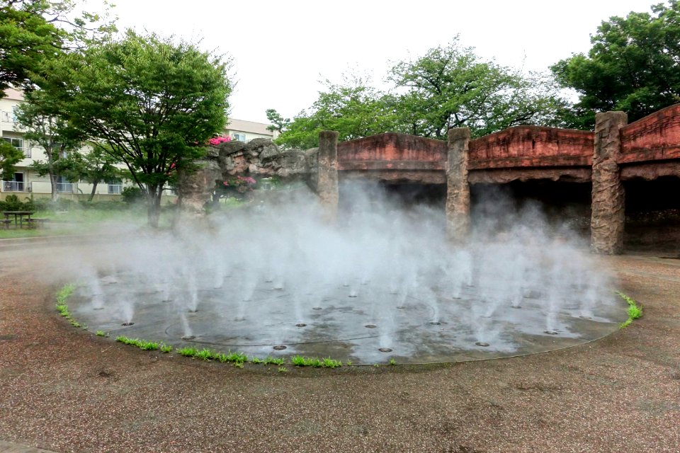 Fog at Omori Shell Mounds Garden - Omori, Tokyo, Japan - DSC05626