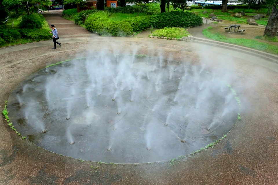 Fog at Omori Shell Mounds Garden - Omori, Tokyo, Japan - DSC05656