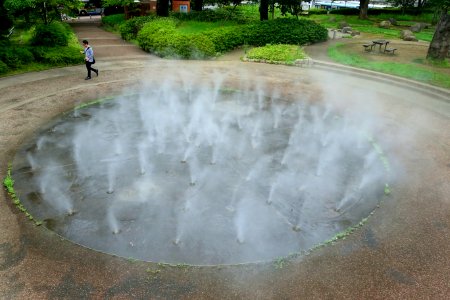 Fog at Omori Shell Mounds Garden - Omori, Tokyo, Japan - DSC05656