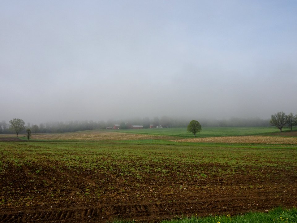 Foggy morning western NY May 16 2018