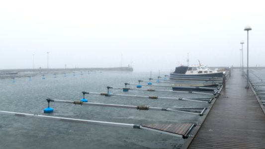 Fog and ice at Rixö boat club 3