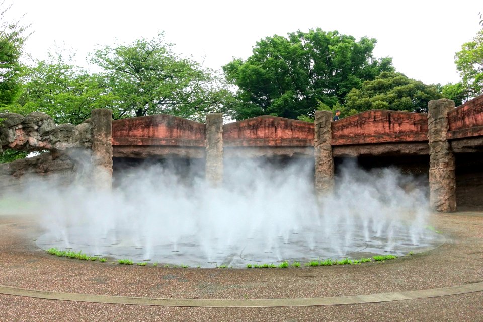 Fog at Omori Shell Mounds Garden - Omori, Tokyo, Japan - DSC05622