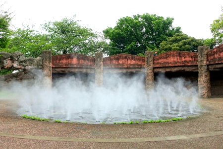 Fog at Omori Shell Mounds Garden - Omori, Tokyo, Japan - DSC05622