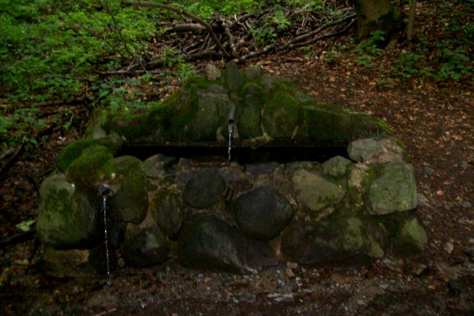 Foerster Brueck Brunnen 02