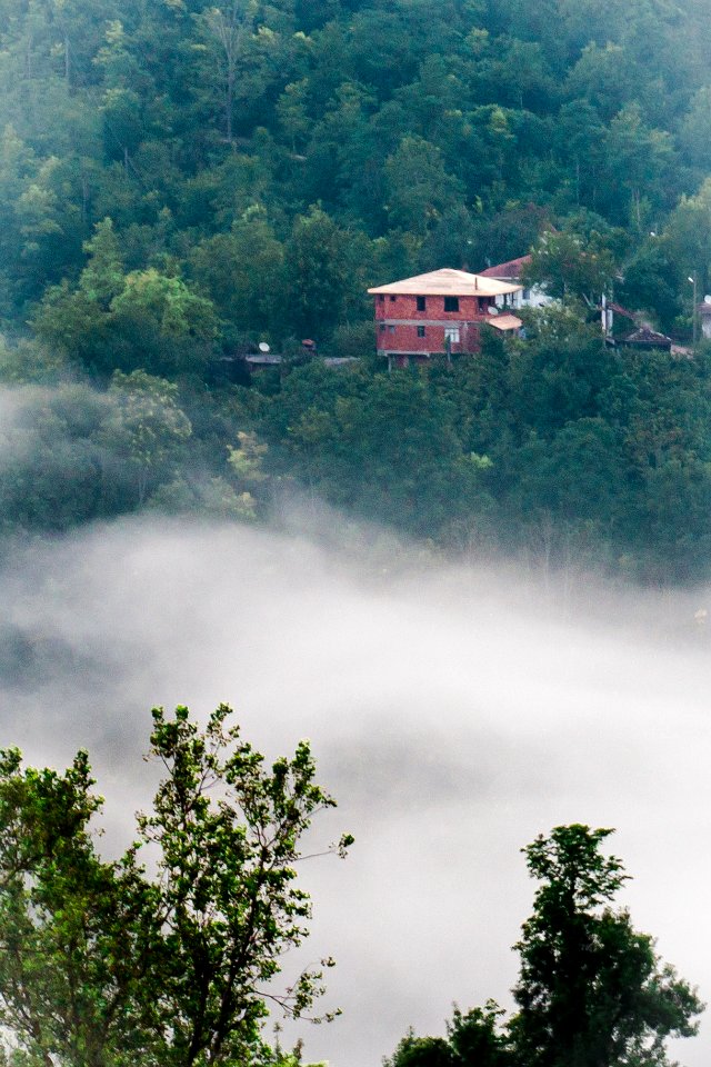 Fog 4 (167038973)
