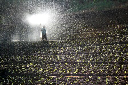 Fertilizer field workers bauer
