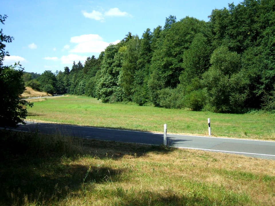 Forbach mit Bewuchs an Wiese