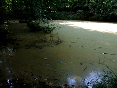 Forbach Teich über Feuerlöschteich Wiesental 1