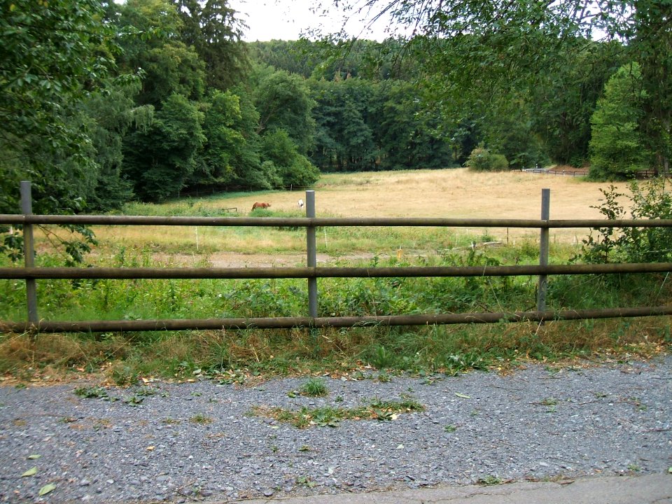 Forbach Quellgebiet anderer Bach Hilbertsborn mit Brücke, Überblick