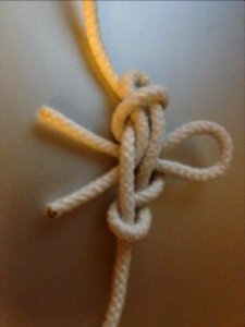 ForaliReefer4 ReeferKolan