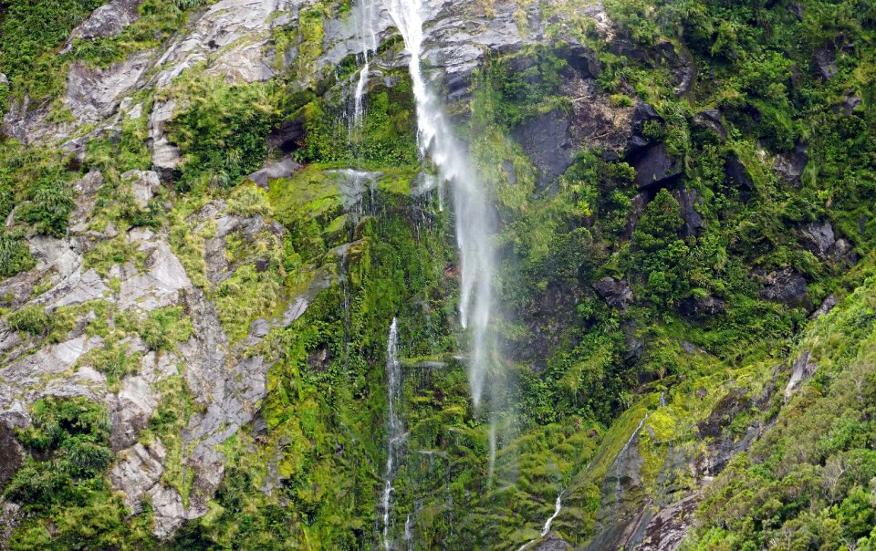 Waters south island murmur