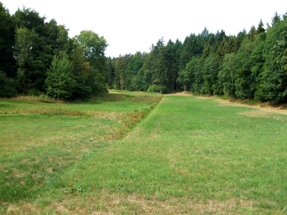 Forbach in Waldwiese