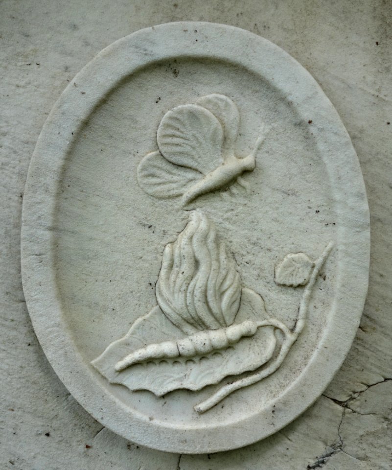 For this mortal must put on immortality - David Patterson, view 2 - Mount Auburn Cemetery - DSC03556