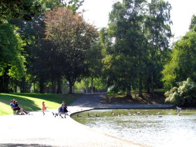 Forêt Montgeon Le Havre (180747671)