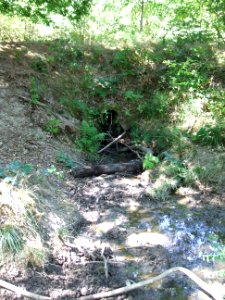 Forbach Auslauf Teich an Quelle