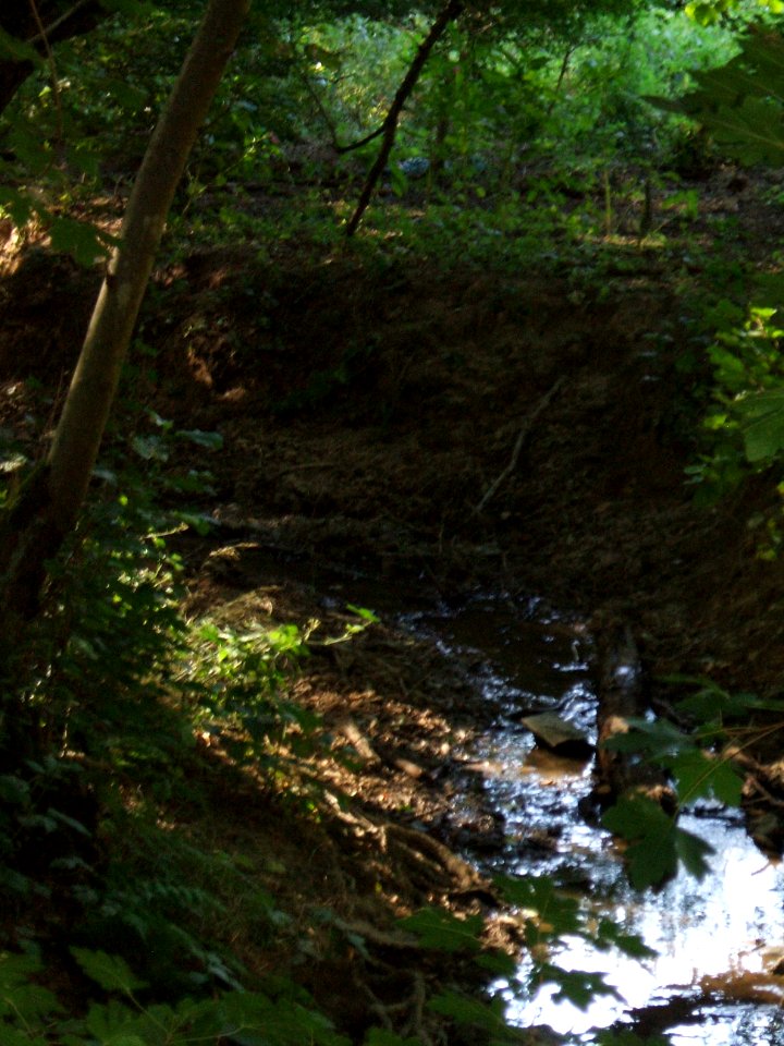 Forbach tief eingegraben unterhalb Wiesental