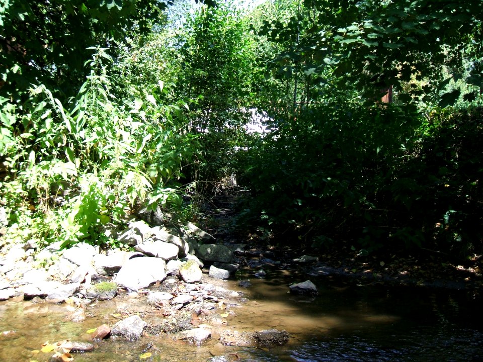 Forbach Einmündung Usa 2