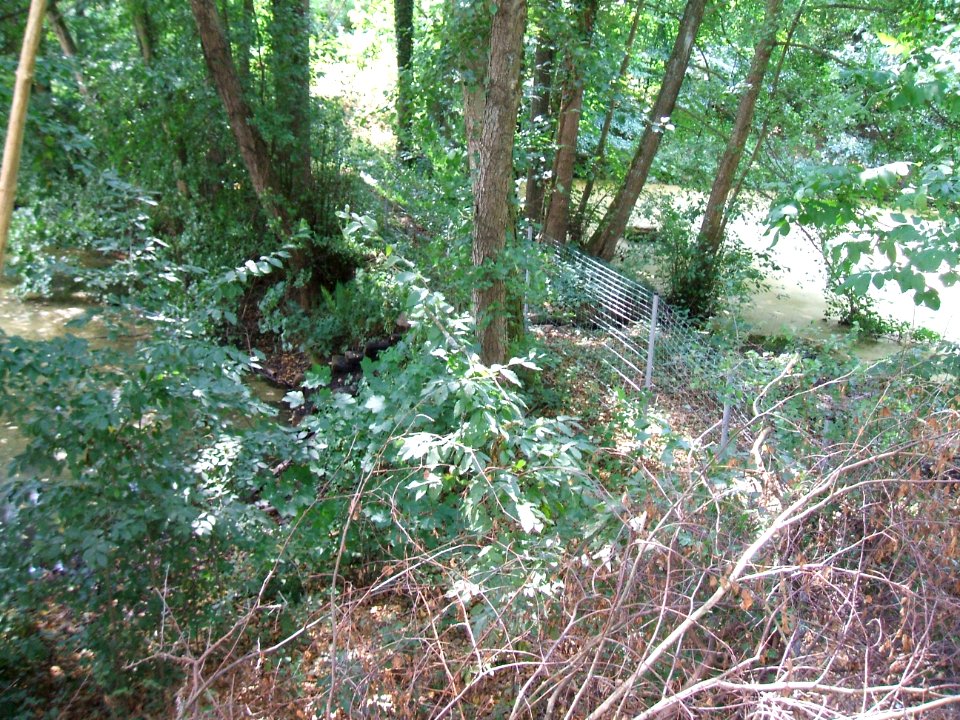 Forbach Teich Abfluss in Feuerlöschteich Wiesental