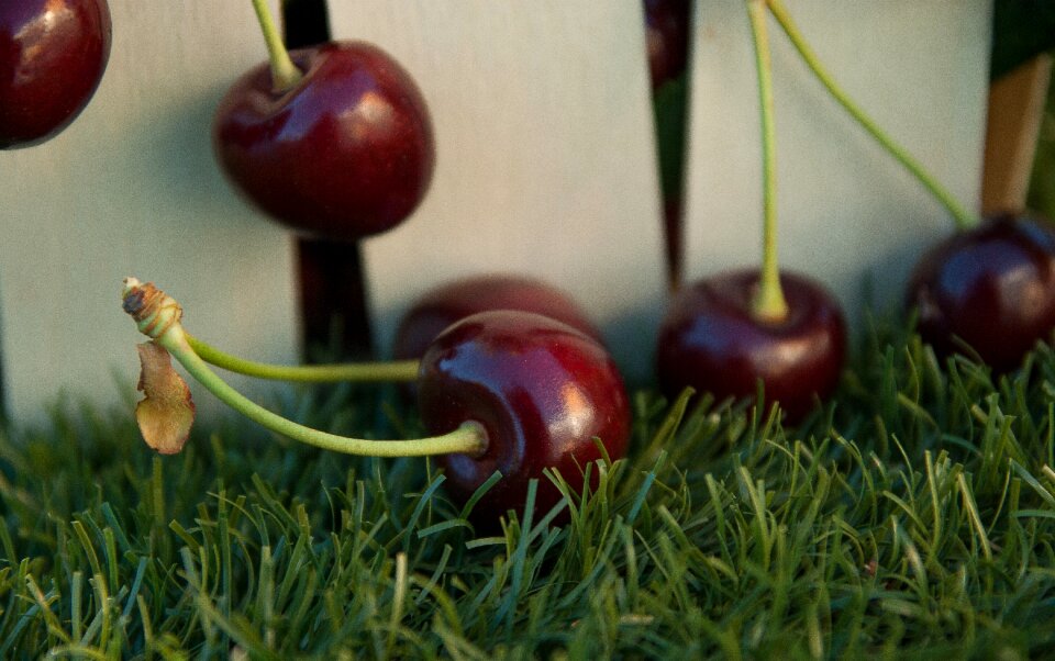 Fruit red fruits cherry