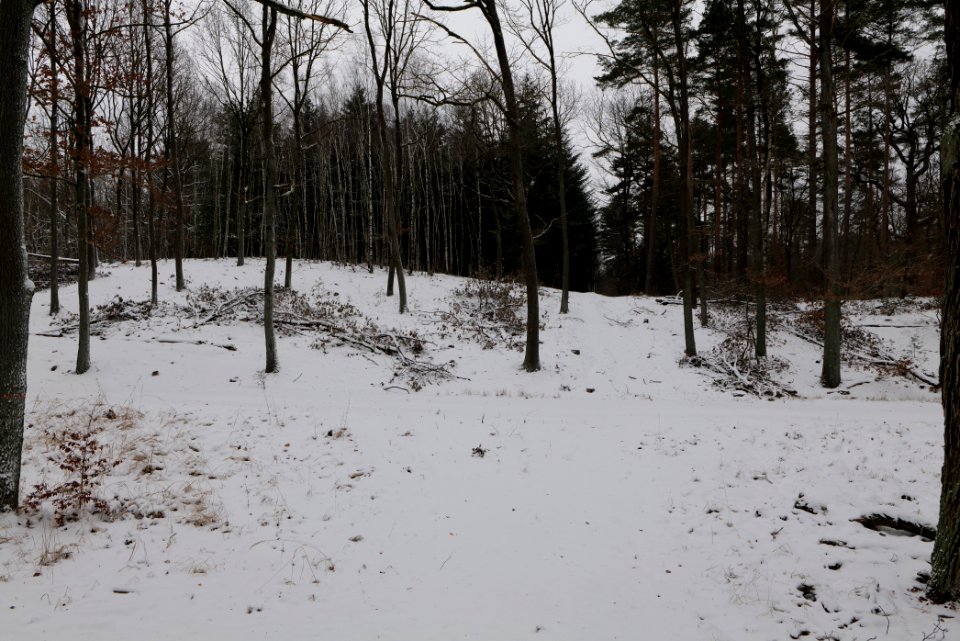 Forest around Wietkiekenberg Ferch with snow 2021-02-07 57