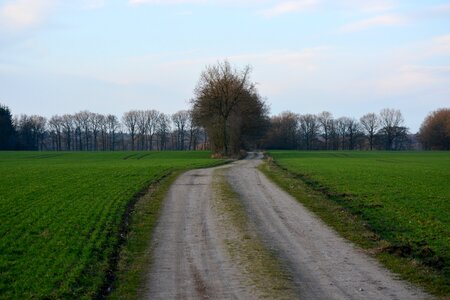 Seed away agriculture