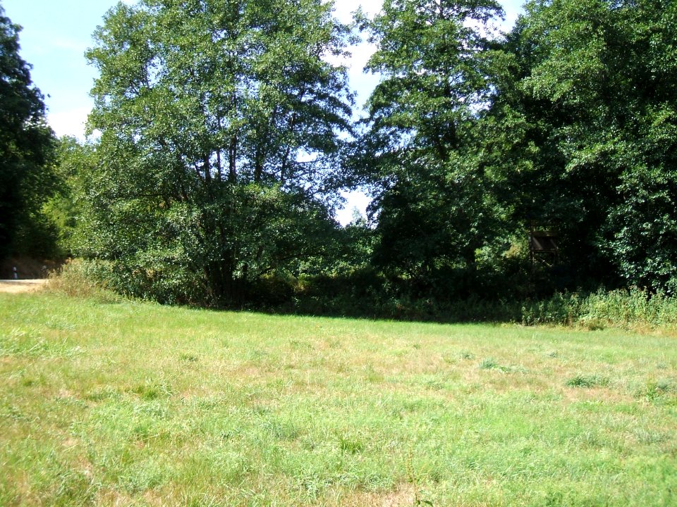 Forbach ehemaliger Fischteich 2 Damm