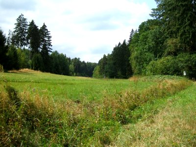 Forbach am Waldrand an Waldwiese