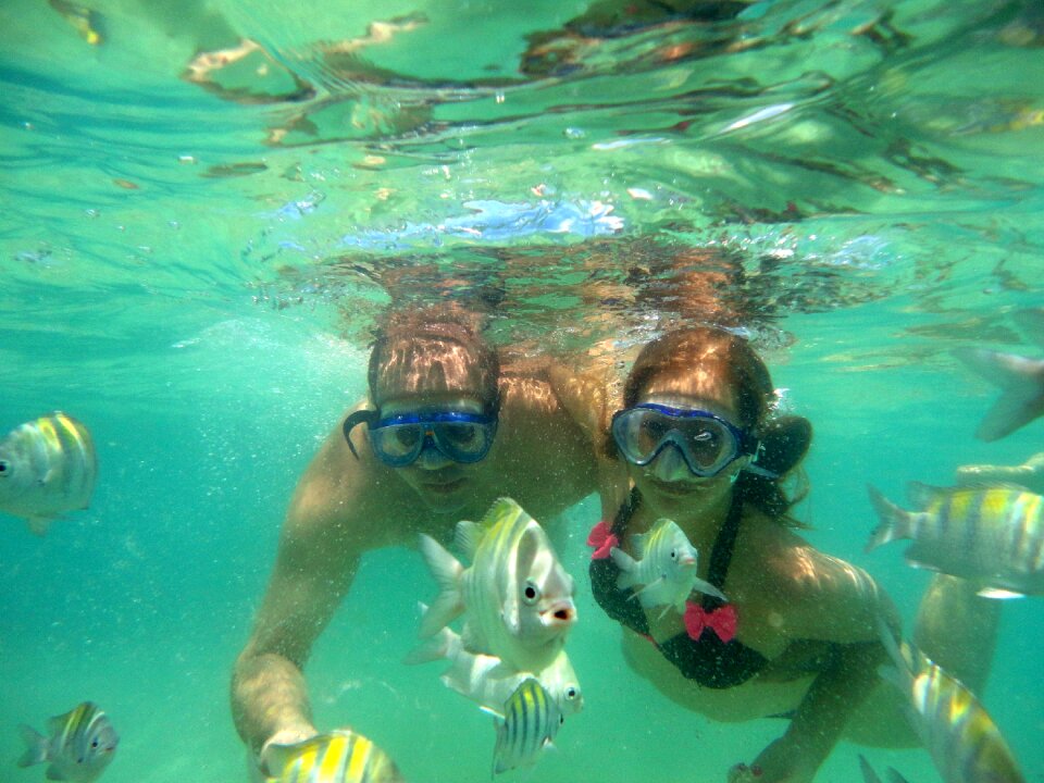 Litoral underwater tranquility