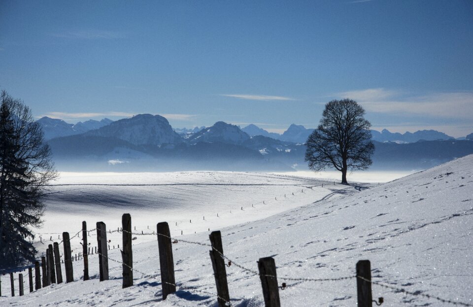 Wintry nature snow