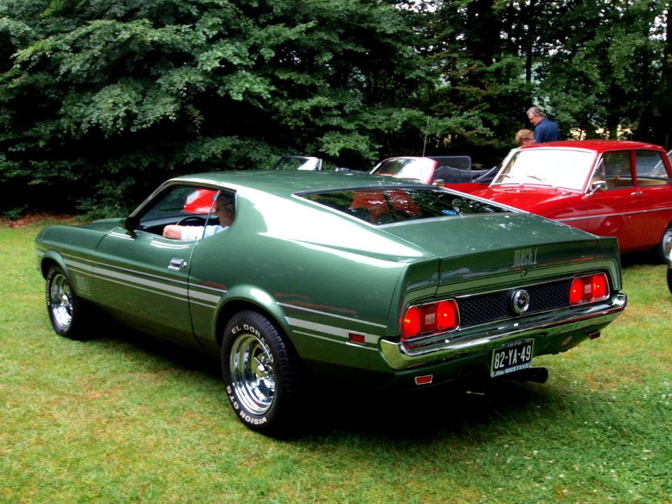 Ford Mustang Mach 1 (1973) pic4