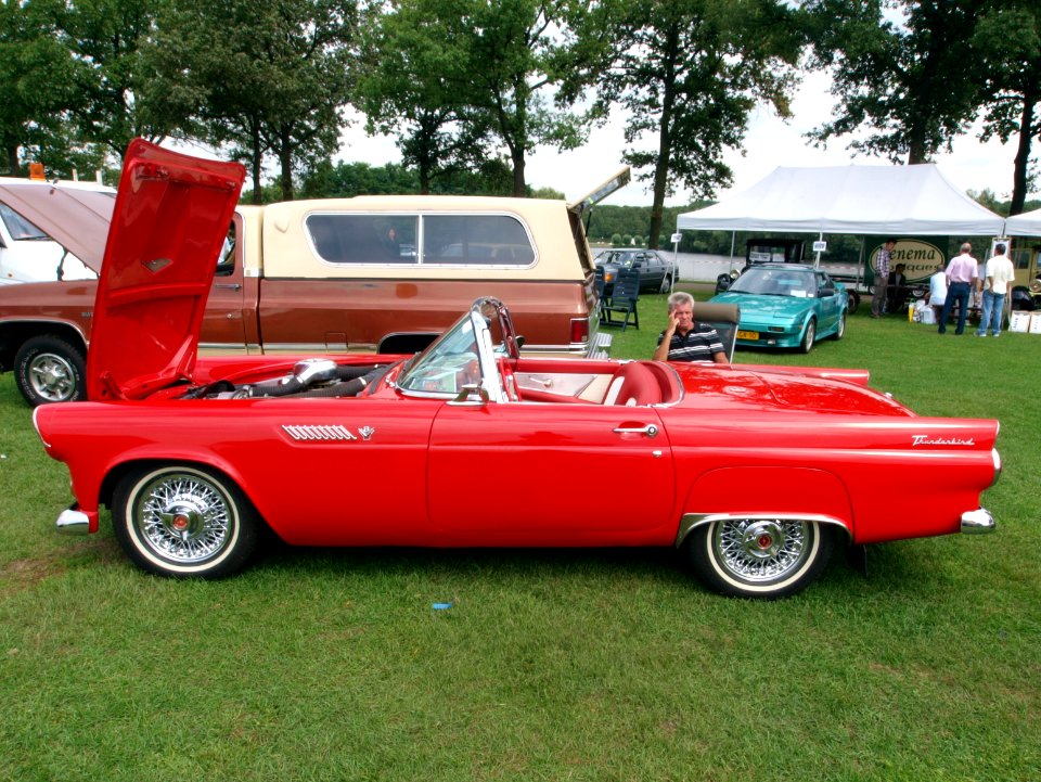 Ford Thunderbird p1