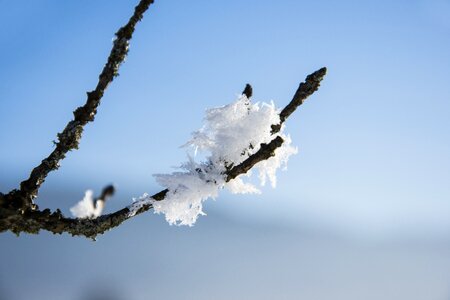 Frozen snow cold photo